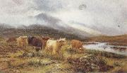 Louis bosworth hurt Highland Cattle on the Banks of a River (mk37) Spain oil painting artist